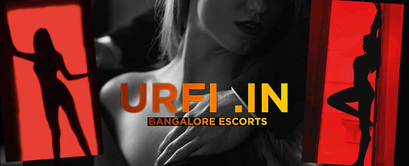  Vadodara call girl service bannner
